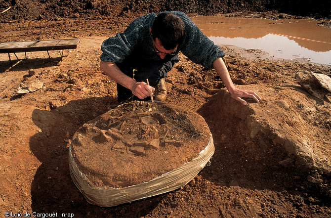 Fouille d’une tombe à incinération du Bronze final, nécropole de Château-Landon (Seine-et-Marne), 1997.  Les vases funéraires et les ossements humains calcinés sont prélevés en bloc pour être fouillés en laboratoire. 