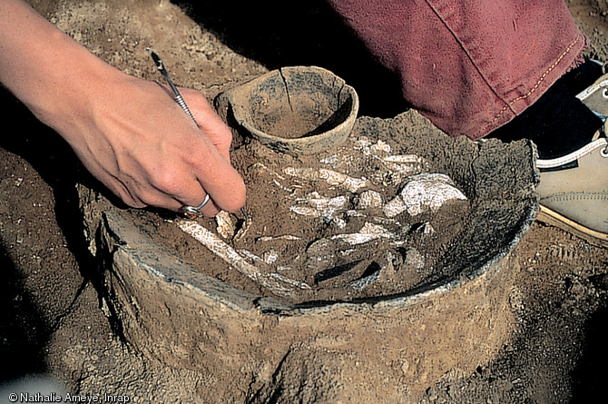 Fouille d'une urne cinéraire de la nécropole de la Croix Saint-Jacques à Marolles-sur-Seine (Seine-et-Marne) datée de l'âge du Bronze final (utilisation entre 1350 et 1100 avant notre ère) et fouillée à l'été 2004.  Cette nécropole relativement bien conservée a livré 7 monuments funéraires et 65 sépultures.