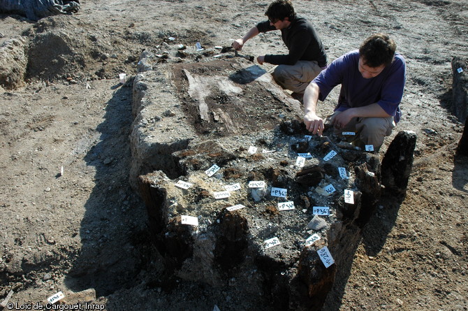 Fouille du massif de fondation d'un mur sur pieux dat&eacute; entre le XVe s. et le XVIIe s. et situ&eacute; au centre de l'&icirc;lot Cuchot &agrave; Troyes (Aube), avril 2006.