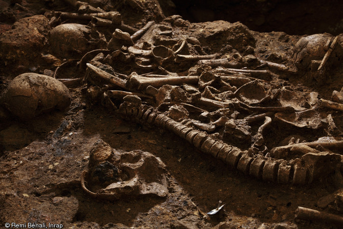 Niveau s&eacute;pulcral de la s&eacute;pulture collective du N&eacute;olithique final au cours de la fouille, sur le site du Mas Rouge/La Cavalade &agrave; Montpellier (H&eacute;rault), 2013.  A ce jour ce sont plus d'une soixantaine de d&eacute;funts qui sont repr&eacute;sent&eacute;s sur trois niveaux, des adultes mais aussi de nombreux enfants, ce qui &eacute;voque un usage de la tombe par une large communaut&eacute; villageoise. 