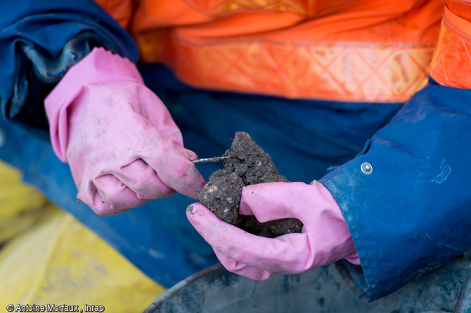 Fragments de stucs retrouvés à Entrains-sur-Nohain (Bourgogne). Sur le terrain, ils sont encore pris dans la terre.