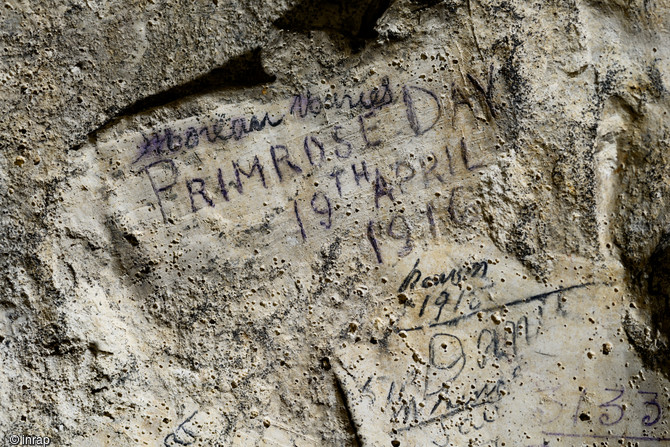 Inscription retrouvée dans la grotte souterraine de Naours (Somme) laissée par des soldats de la Grande Guerre, 2016.  L'inscription qui fait référence à Primrose Day en date du 19 avril 1916 qui célèbre la mort de l’ancien Premier ministre britannique Benjamin Disraeli. La reine Victoria fera déposer sur sa tombe des primevères, ses fleurs préférées.  