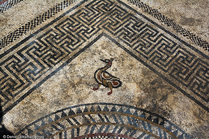 Représentation d'un canard dans l'angle du décor central du pavement mosaïqué du Ier siècle avant notre ère découvert à Uzès (Gard), 2017.