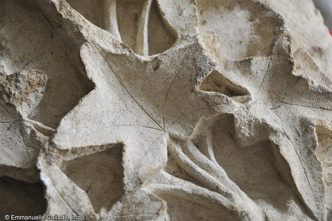D&eacute;tail d'un d&eacute;cor floral sur une pierre sculpt&eacute;e m&eacute;di&eacute;vale de la cath&eacute;drale du Mans (Sarthe)