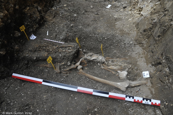 Ensemble de s&eacute;pultures catholiques (adulte et p&eacute;rinatale), mis au jour devant le parvis du temple Saint-Eloi &agrave; Rouen (Seine-Maritime).