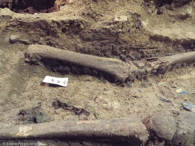 D&eacute;tail d'une s&eacute;pulture datant de l'&eacute;poque carolingienne (VIIIe-IXe si&egrave;cle) mise au jour dans le ch&oelig;ur de l'&eacute;glise Sainte-Benoite de Lerzy (Aisne). Le d&eacute;funt a subi une amputation chirurgicale du pied droit.
