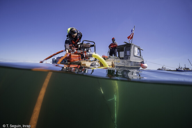 Lancement de la motopompe haute pression, à poste sur son ponton, afin d'alimenter les aspirateurs à sédiment sous la surface.