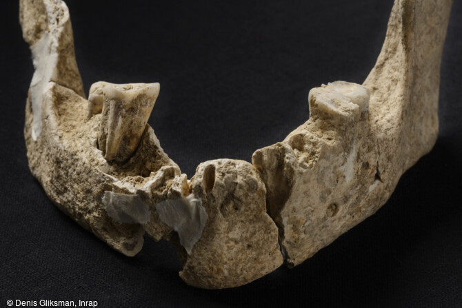   Mandibule d'un homme du Mésolithique mis au jour sur le site de la rue Farman à Paris, en 2008.            