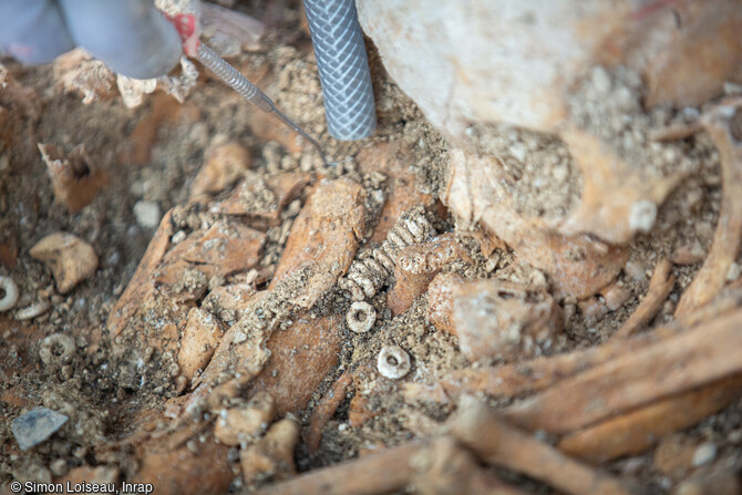 Lors de la fouille de l'hypog&eacute;e du N&eacute;olithique de Saint-Memmie (Marne) en 2019, vue sur les perles en calcaire d'un collier que portait un d&eacute;funt. Par ailleurs, des &eacute;l&eacute;ments de parures sont &eacute;galement retrouv&eacute;s sur les autres d&eacute;funts : perles de colliers, canines d'animaux perfor&eacute;es en pendentifs, des outils en silex... Ces objets, &eacute;galement en tr&egrave;s bon &eacute;tat de conservation, permettront d'enrichir les information sur la population de cette p&eacute;riode et leur organisation principalement clanique. 