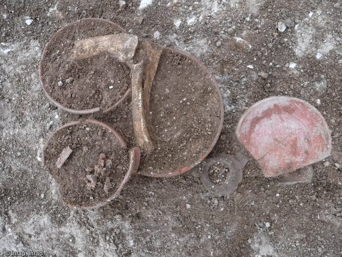 Incin&eacute;ration romaine du Haut-Empire avec ses offrandes animales, mise au jour lors de la fouille &agrave; Saint-Sauveur (Somme) en 2021.