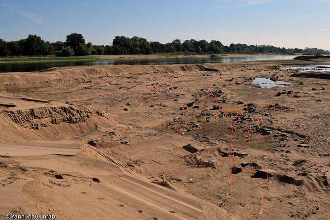 Vue g&eacute;n&eacute;rale de la fouille vers l'amont du site n&deg; 2 de l'&icirc;le Poulas (Maine-et-Loire) en 2022. Au premier plan, les jalons orange mat&eacute;rialisant la pr&eacute;sence des pieux composant la p&ecirc;cherie fixe. En arri&egrave;re-plan, le chenal de la Loire, couloir d'eau &eacute;troit illustrant la p&eacute;riode de s&eacute;cheresse de cet &eacute;t&eacute; 2022. D'apr&egrave;s les premi&egrave;res datations, ces p&ecirc;cheries auraient fonctionn&eacute; au cours du XIIe si&egrave;cle.