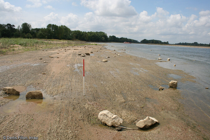 Vue d'un secteur de la fouille de l'&icirc;le Poulas (Maine-et-Loire) en 2022. Ce secteur conserve un niveau argileux compact, correspondant &agrave; la pr&eacute;sence d'un ancien marais non dat&eacute; &agrave; ce jour. Les diff&eacute;rents am&eacute;nagements reconnus sur cette zone sont implant&eacute;s sur le sommet de cet horizon s&eacute;dimentaire. 