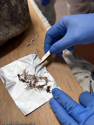 Pr&eacute;l&egrave;vement de cheveux et poils de barbe dans le sarcophage du chanoine de La Porte (1627-1710) &agrave; l'institut m&eacute;dico-l&eacute;gal du CHU de Toulouse. Le sarcophage a &eacute;t&eacute; mis au jour dans le transept de Notre-Dame de Paris en 2022. 