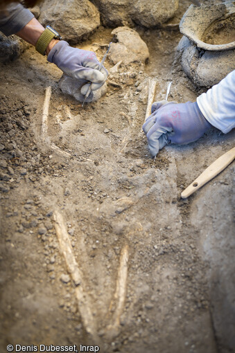 Une s&eacute;pulture protohistorique en cours de fouille au camp Sarlier &agrave; Aubagne (Bouches-du-Rh&ocirc;ne). Elle date probablement de la fin de l'&acirc;ge du Bronze et du d&eacute;but de l'&acirc;ge du Fer.