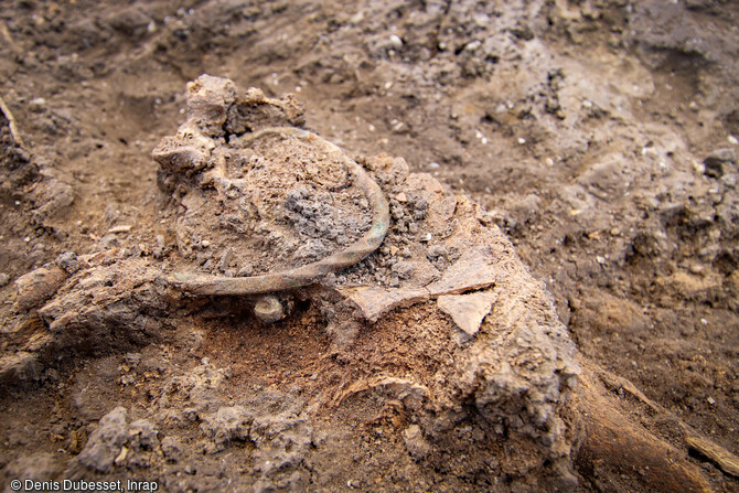 Jonc torsad&eacute; en cours de d&eacute;gagement dans un d&eacute;p&ocirc;t protohistorique au camp Sarlier &agrave; Aubagne (Bouches-du-Rh&ocirc;ne). 