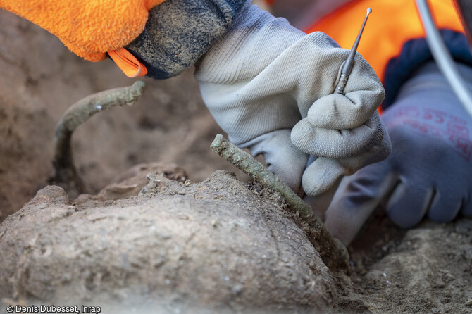 Torque en cours de d&eacute;gagement dans une s&eacute;pulture protohistorique en cours de fouille au camp Sarlier &agrave; Aubagne (Bouches-du-Rh&ocirc;ne). 