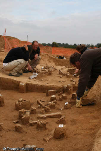Fouille des amas de faune dans le foss&eacute; d'enceinte du sanctuaire gaulois de Saint-Just-en-Chauss&eacute;e (Oise), qui ont probablement fait l'objet de sacrifices ou d'une consommation collective lors d'un banquet. Le sanctuaire est d&eacute;limit&eacute; par une vaste enceinte, qui s'&eacute;tend sur plusieurs hectares. L'int&eacute;rieur est divis&eacute; en plusieurs enclos qui ont semble t-il, accueilli des manifestations cultuelles diff&eacute;rentes. Les dimensions du foss&eacute; peuvent d&eacute;passer 3 m de large et 1,5 m de profondeur.