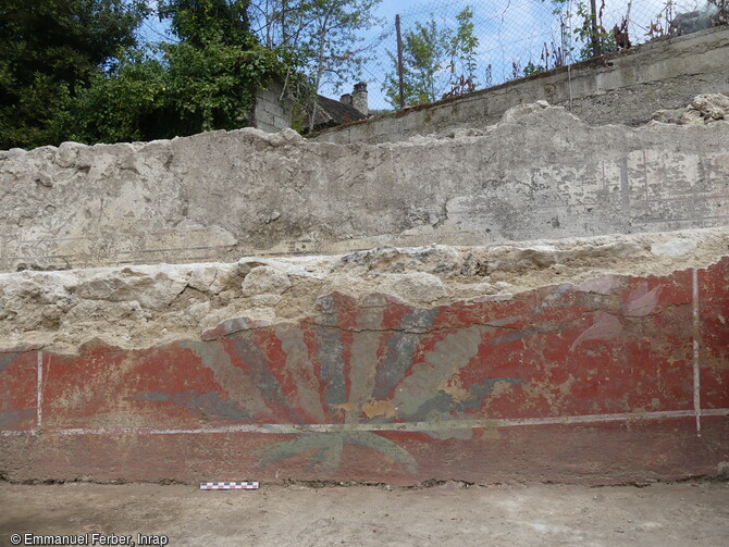 Décor orné d’un parterre de planteprovenant de vestiges antiques balnéaires, découverts à Yenne (Savoie) en 2023.