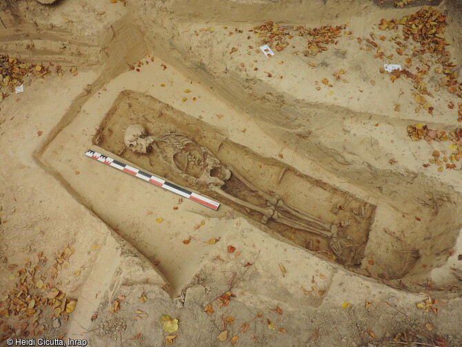 Vue g&eacute;n&eacute;rale d'une des s&eacute;pultures d&eacute;couvertes sur le site de Strasbourg (Bas-Rhin). Elle pr&eacute;sente un individu adulte masculin de plus de 50 ans. Les limites observ&eacute;es (200x50 cm) ainsi que la pr&eacute;sence de traces de bois et de 17 clous dispos&eacute;s de part et d&rsquo;autre du squelette d&eacute;limitent une surface rectangulaire ne laissant que peu de doutes quant &agrave; la pr&eacute;sence initiale d&rsquo;un cercueil clou&eacute; en bois, ajust&eacute; &agrave; la morphologie de d&eacute;funt.