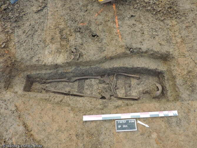 Reste de traverses du cercueil de la sépulture 304 du cimetière du cimetière du XVIIIe s. à Yvetot (Seine-Maritime). Le défunt est inhumé sur le dos, dans un cercueil en bois à partir d'essence locale. 