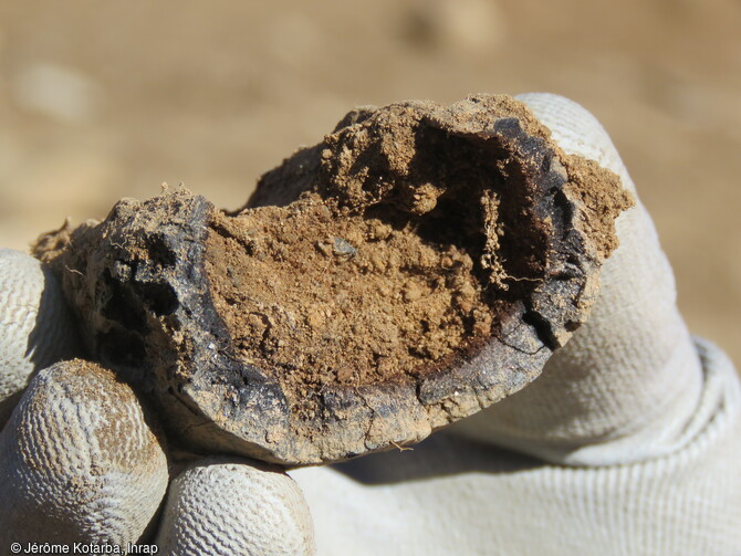 Branche carbonis&eacute;e dont l'int&eacute;rieur ne s'est pas conserv&eacute; d&eacute;couverte au cours de la fouille du four &agrave; poix en 2019 &agrave; Bolqu&egrave;re (Pyr&eacute;n&eacute;es-Orientales).