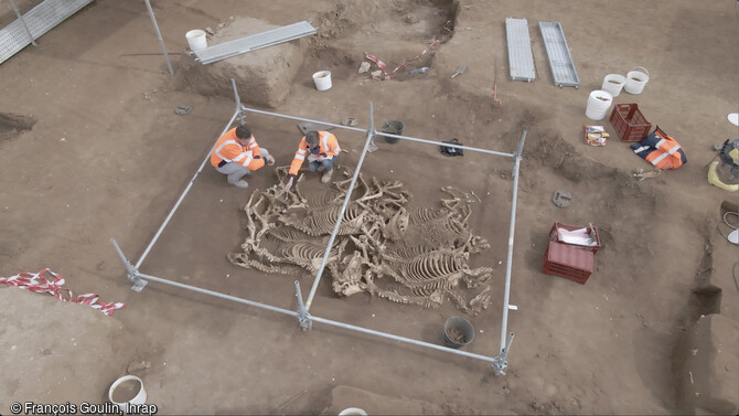 Dégagement des chevaux déposés dans une fosse datant de 100 avant notre ère à 100 de notre ère à Villedieu-sur-Indre (Indre). Les observations archéologiques révèlent qu'il s'agit de petits chevaux, d'1m 20 de hauteur au garrot, caractéristique du cheptel gaulois. Tous sont des mâles et des adultes de plus de 4 ans.        @font-face 	{ 	panose-1:2 11 6 4 2 2 2 2 2 4;}@font-face 	{ Cambria Math ; 	panose-1:2 4 5 3 5 4 6 3 2 4;}p.MsoNormal, li.MsoNormal, div.MsoNormal 	{ 	mso-style-parent:  ; 	margin:0cm; 	margin-bottom:.0001pt