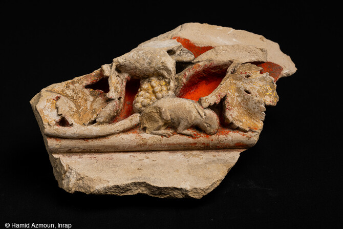 Segments de frise &agrave; d&eacute;cor de feuilles de vigne avec un rongeur, fouille Inrap Notre-Dame de Paris 2022&nbsp;