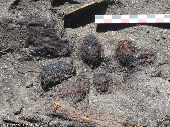 La r&eacute;alisation de transects g&eacute;omorphiques dans la zone nord de la Carella &agrave; Font-Romeu-Odeillo-Via (Pyr&eacute;n&eacute;es Orientales) a men&eacute; &agrave; la d&eacute;couverte de plusieurs pal&eacute;ochenaux. Ces anciens lits correspondent au d&eacute;placement du cours d'eau. Dans le fond d'un de ces anciens cours d'eau, un niveau humide a livr&eacute; des restes de c&ocirc;nes de conif&egrave;res associ&eacute;s &agrave; des sables, laissant envisager une p&eacute;riode de crue. 