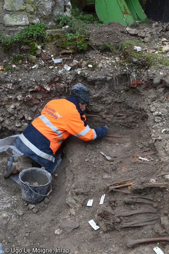 La fouille des s&eacute;pultures sur le site de l'&eacute;glise Saint-Pierre-du-Ch&acirc;tel &agrave; Rouen (Seine-Maritime). De nombreux niveaux s&eacute;pulcraux ont &eacute;t&eacute; perturb&eacute;s au XXe si&egrave;cle et une &eacute;paisse couche d'ossements isol&eacute;s se trouve imm&eacute;diatement sous le sol actuel.