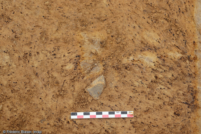 Outil en silex mis au jour sur le site du Paléolithique moyen de Fameck (Moselle) 
