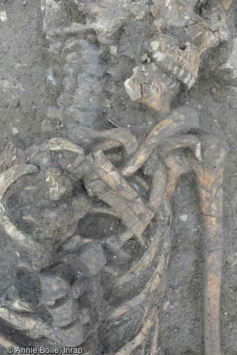 Peigne en os ou bois de cervidé sur la poitrine d'un individu inhumé  à La Flotte sur l'île de Ré (Charente-Maritime).
