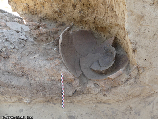 Vue en coupe de la fosse 71 datée de la Tène finale (1er s. av. notre ère) en cours de fouille, Oberschaeffolsheim (Bas-Rhin).