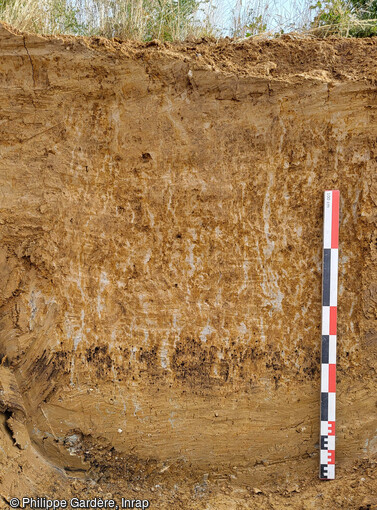 Profil stratigraphique observ&eacute; dans le sud-est du site Gustave Eiffel &agrave; Tours (Indre-et-Loire). Les artefacts lithiques ont &eacute;t&eacute; pr&eacute;lev&eacute;s au sein et en dessous de l'horizon marqu&eacute; par des oxydations. 