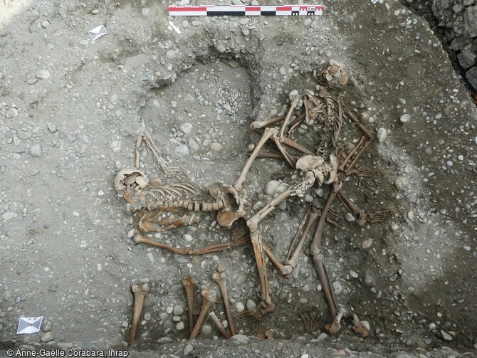 Détails des individus jetés dans le charnier avec une déposition sur le ventre et un individus gisant membres inférieurs écartés.  La structure plurielle, découverte au centre du bâtiment, associe à la fois des dépôts primaires en connexion, retrouvés sur plusieurs niveaux superposés et des restes osseux déconnectés retrouvés pêle-mêle, le tout dans un grand désordre.
