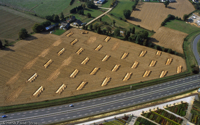 Tranchées de sondages archéologiques réalisées à la Mézière (Ille-et-Vilaine), 2007 : l'enlèvement de la terre végétale sur 5 à 10 % de la surface concernée permet de localiser la présence de sites archéologiques menacés de destruction.