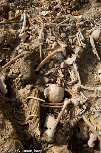   Charnier de la peste de 1720, fouille de l'esplanade de la Major &agrave; Marseille, 2008.    