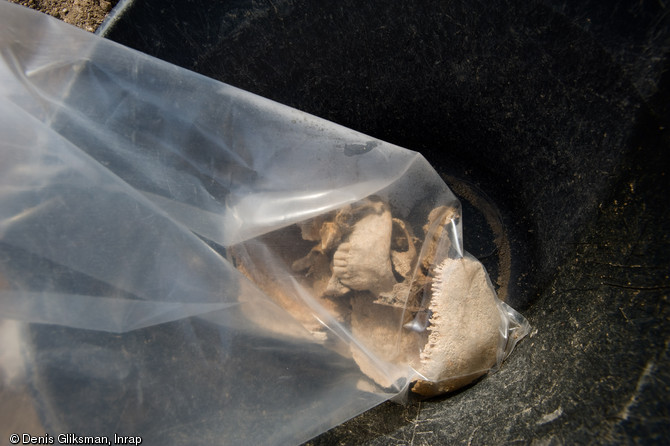 Pr&eacute;l&egrave;vements d'os pour l'&eacute;tude des pathologies, fouille de l'esplanade de la Major &agrave; Marseille, 2008.  Ces analyses aideront &agrave; comprendre l'origine de la peste qui frappe Marseille en 1720. 