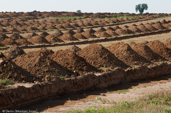 Diagnostics arch&eacute;ologiques &agrave; Marquion (Pas-de-Calais), sur le trac&eacute; du&nbsp;canal Seine-Nord Europe, 2009.