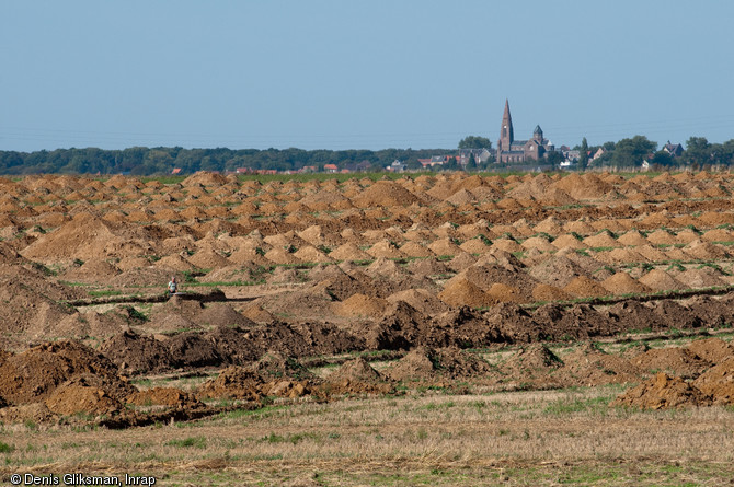 Diagnostics arch&eacute;ologiques &agrave; Marquion (Pas-de-Calais), sur le canal Seine-Nord Europe, 2009.