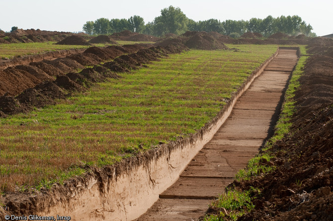 Diagnostics arch&eacute;ologiques &agrave; Marquion (Pas-de-Calais), sur le canal Seine-Nord Europe, 2009.