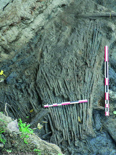 Nasse en osier &eacute;cras&eacute;e sur place, provenant d'un moulin &agrave; eau dat&eacute; entre le VIIIes. et le Xes., Notre-Dame-du-Marillais (Maine-et-Loire), 2008.  Plus de 200 pi&egrave;ces de bois ont &eacute;t&eacute; d&eacute;couvertes dans la couche de vase organique g&eacute;n&eacute;r&eacute;e par l'activit&eacute; hydraulique. Outre l'activit&eacute; meuni&egrave;re, la p&ecirc;che est &eacute;galement attest&eacute;e.  Photo publi&eacute;e dans le num&eacute;ro 23 de la revue de l'Inrap Arch&eacute;opages.