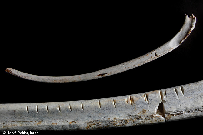 Vallée de l'Erve. L'art solutréen de la grotte Rochefort s'exprime, entre autres, par une importante collection de côtes gravées. Ici celle d'un ours brun ornée d'incisions parallèles et équidistantes. 