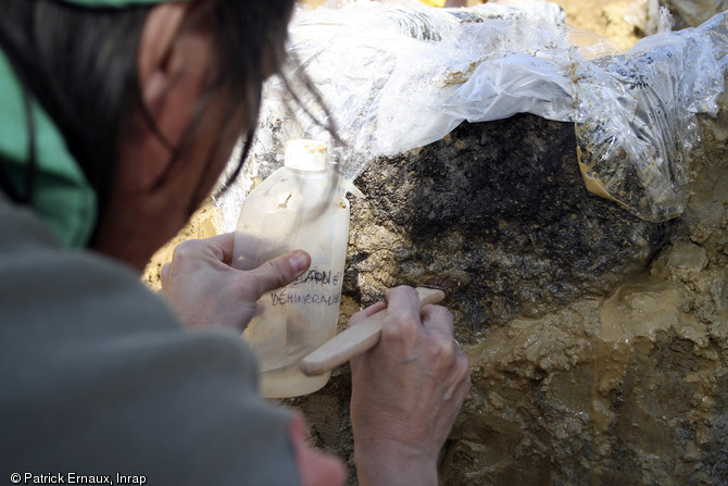 Nettoyage et protection du cercueil monoxyle &agrave; l'aide d'eau d&eacute;min&eacute;ralis&eacute;e, Marsan (Gers), 2008. 