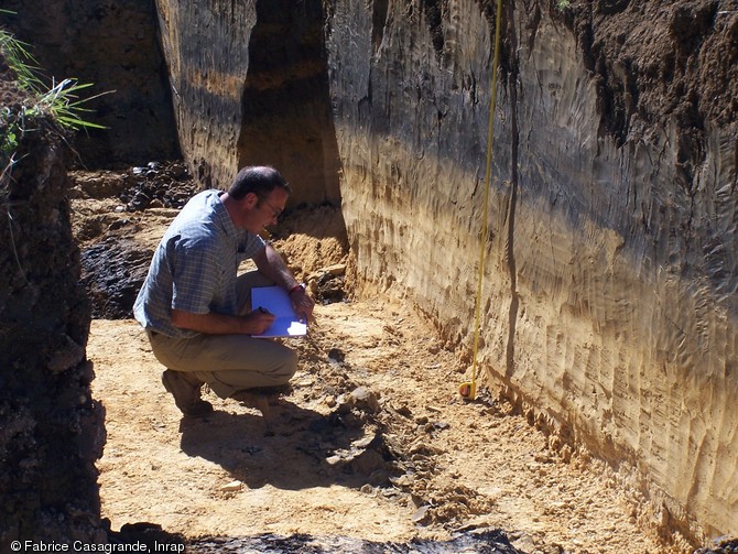Relev&eacute; d'une coupe r&eacute;alis&eacute;e dans un ancien bras de rivi&egrave;re colmat&eacute; vers - 10 000, Bergerac (Dordogne), 2006.Sur la partie basse de la coupe, on observe les traces du bras de rivi&egrave;re disparu et dans la partie haute, sa transformation en un mar&eacute;cage riche en mati&egrave;res organiques.&nbsp;   Photo publi&eacute;e dans l'ouvrage&nbsp;La France racont&eacute;e par les arch&eacute;ologues, par C. Marcigny et D. B&eacute;tard, co&eacute;dition Gallimard - Inrap. 