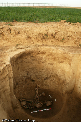 Silo au fond duquel a été déposé un individu, 4000 avant notre ère, Gougenheim (Bas-Rhin), 2009.  La structure abritait une seconde inhumation, postérieure, au niveau du remplissage supérieur du silo. 