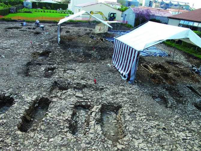 Vue d'une partie de la nécropole d'Usseau (Deux-Sèvres), VIe-VIIIe s., 2012.  La répartition spatiale des sépultures indique une relative organisation et une maîtrise de l'espace funéraire : les fosses sont disposées de manière régulière, en rangées et rarement superposées. 