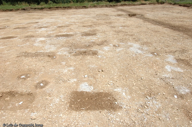 Alignements de fosses rectangulaires interpr&eacute;t&eacute;es comme les traces de vignes gallo-romaines, Ier s. de notre &egrave;re, Gevrey-Chambertin (C&ocirc;tes-d'Or), 2008.  A l'int&eacute;rieur des fosses, en coupe, les vides laiss&eacute;s par les troncs et les racines de petits arbustes ont pu &ecirc;tre observ&eacute;s. 