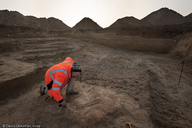 D&eacute;gagement d'une des c&ocirc;tes du mammouth, Changis-sur-Marne (Seine-et-Marne), 2012.