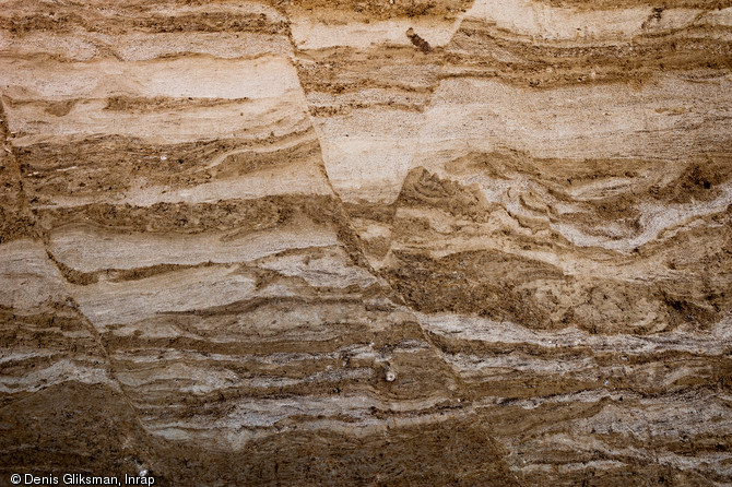 D&eacute;tail de la stratigraphie du site du Chemin de la fosse de la Haie &agrave; Changis-sur-Marne, 2012.Diff&eacute;rents d&eacute;p&ocirc;ts de sables de la Marne d&eacute;form&eacute;s par le gel sont observables.