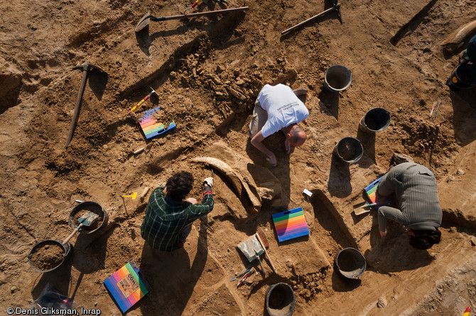 D&eacute;gagement du fragment du cr&acirc;ne du mammouth de Changis-sur-Marne (Seine-et-Marne), 2012. 